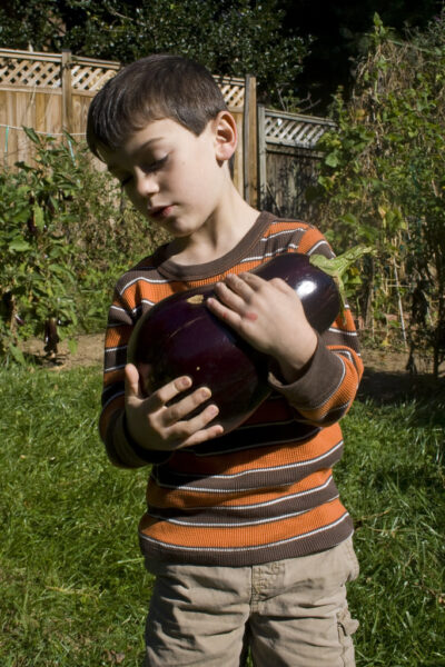 enormous dusky eggplant, average sized boy