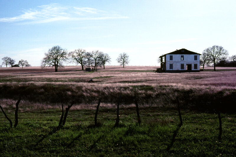 Texas Landscape