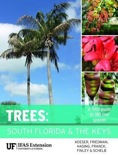 Trees South Florida Andrew Koeser