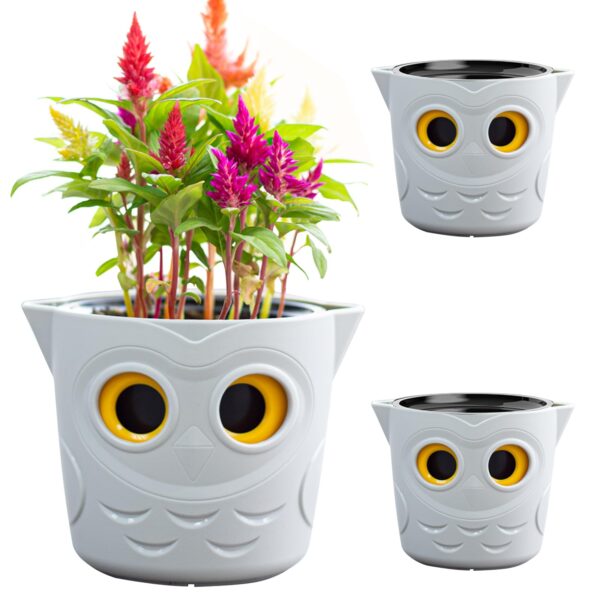 Owl-Shaped Flower Pot with Colorful Celosia Plant