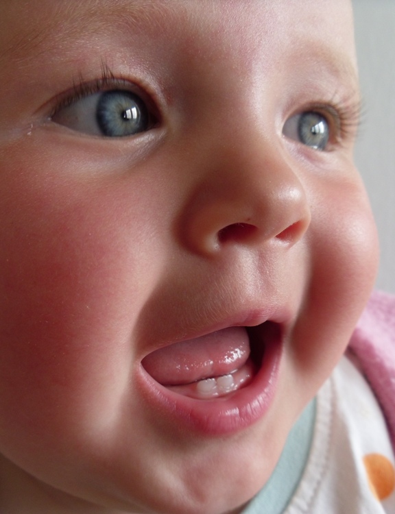 Baby teeth in human infant