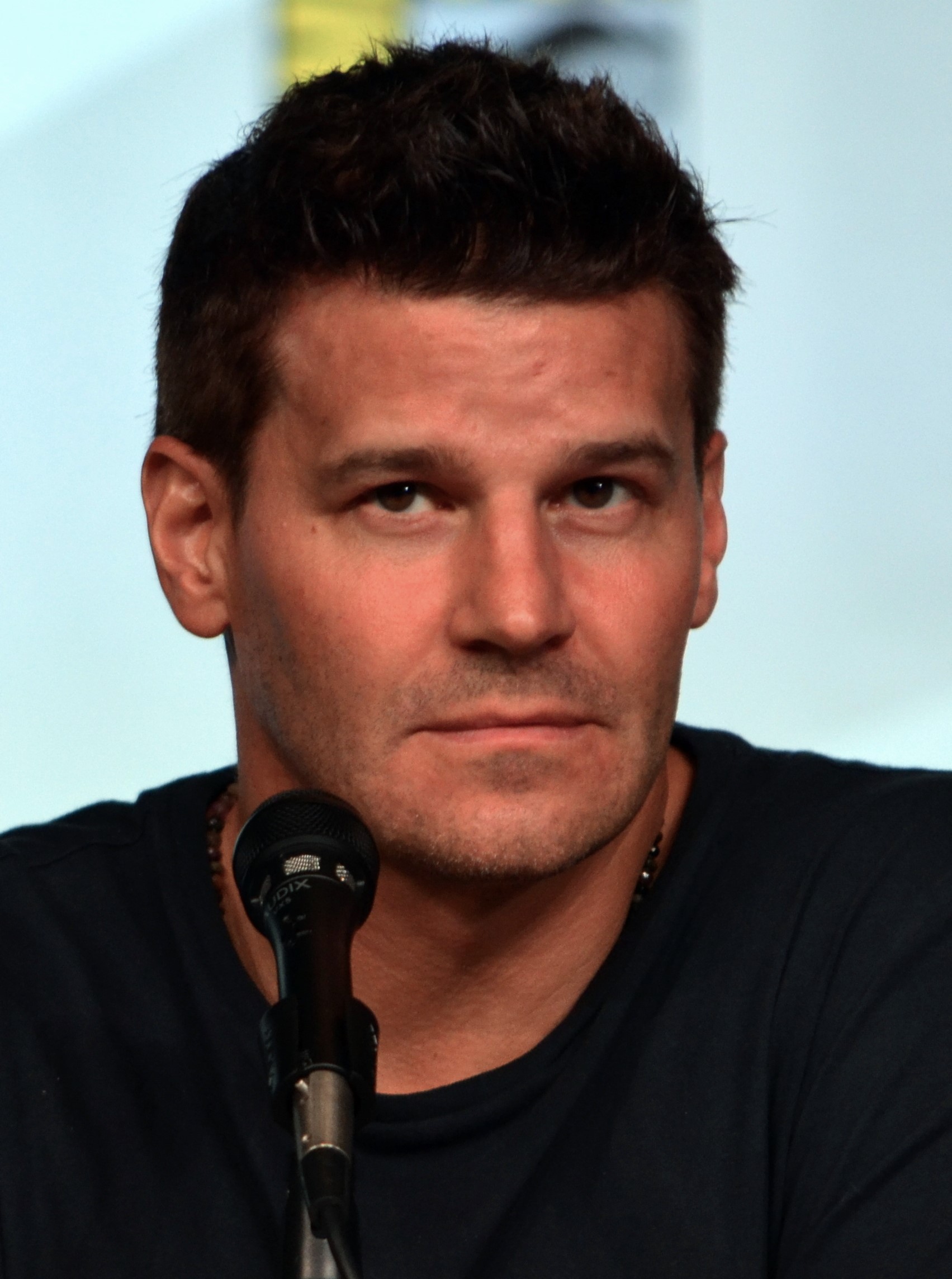 David Boreanaz Comic-Con 2012