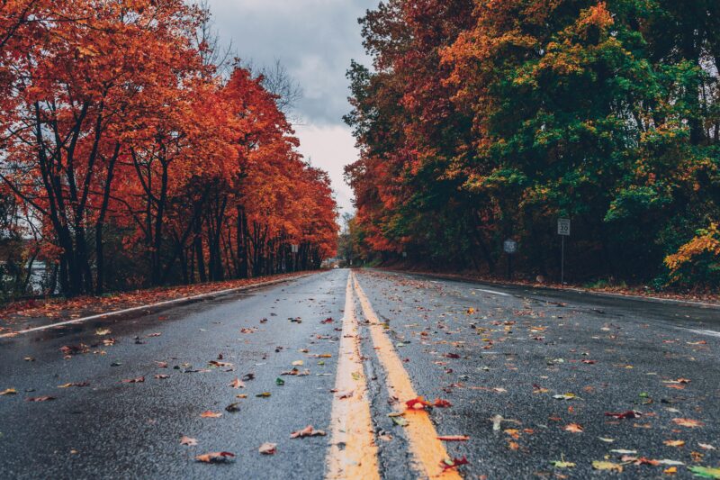 A vibrant autumn scene with colorful foliage lining a wet road in Long Pond, PA.