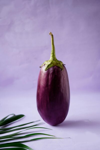 A vibrant still life featuring a single purple eggplant with green leaves on a soft lavender background.