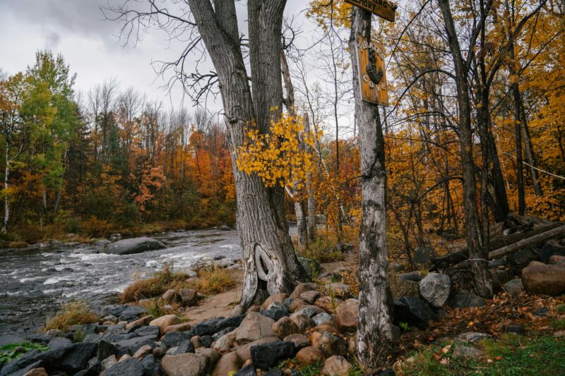 Tranquil autumn scene of a forest with colorful foliage by a rocky river edge.