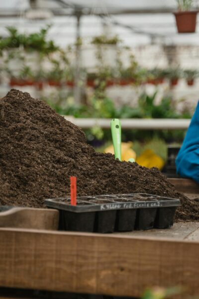 Close-up of soil and seedling tray in a greenhouse setting, ready for planting.