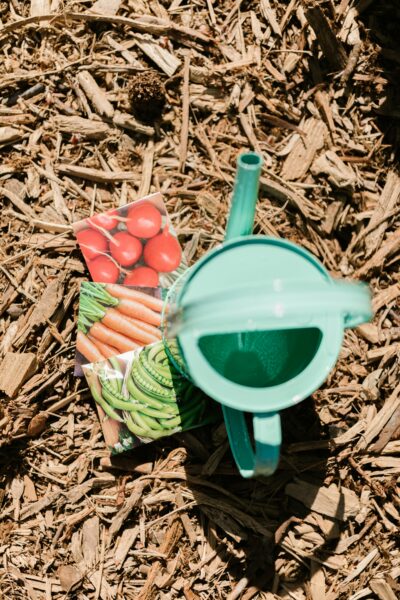 Colorful watering can and seed packets on mulch, perfect for gardening themes.