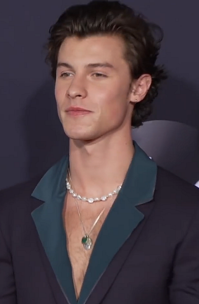 Shawn Mendes at the 2019 American Music Awards