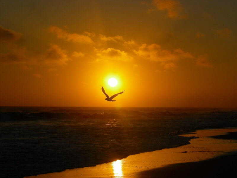 Atardecer en la Paloma - Sunset in La Paloma Beach