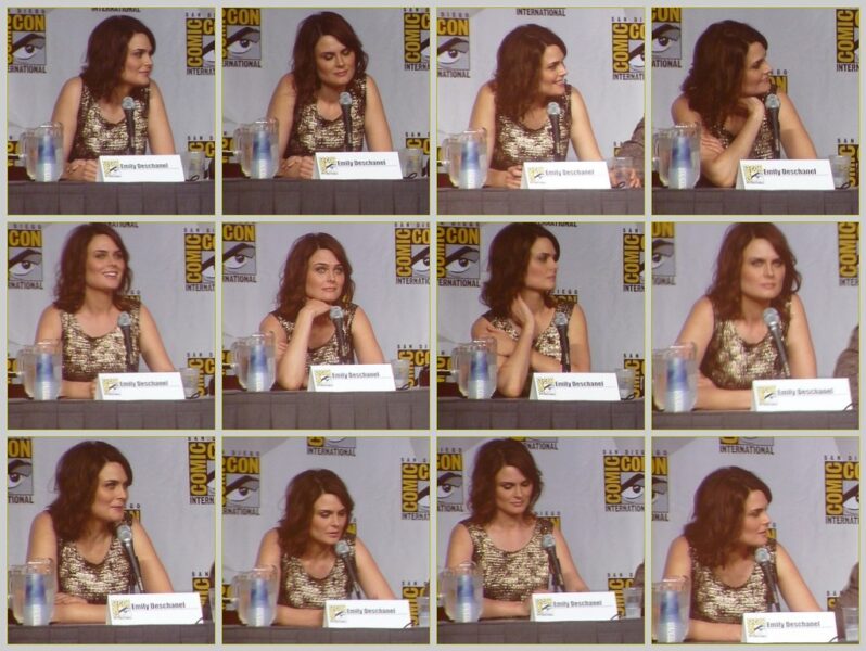 Emily Deschanel at Comic-Con 2010 discussing net worth and career