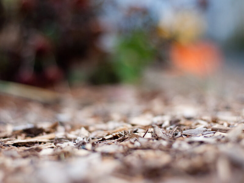 Mulch Bokeh, garden aesthetics