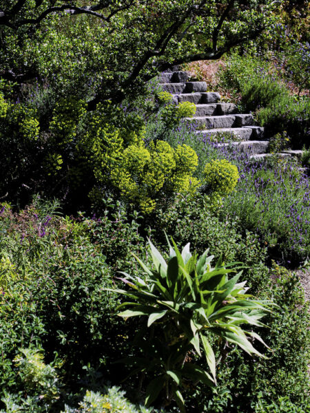 Blake Garden, Berkeley