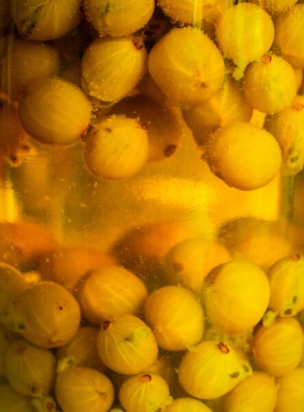 Vibrant close-up of gooseberries submerged in liquid, showcasing a golden hue.