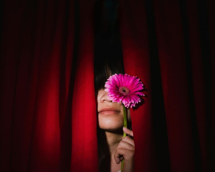 Person holding a pink daisy behind red curtains, evoking mystery.