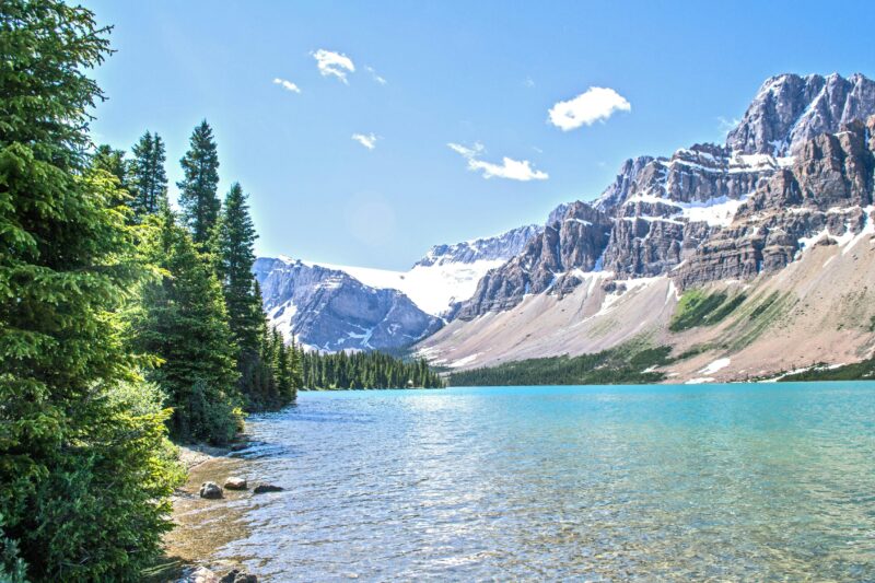 Stunning view of Bow Lake with rocky mountains and green forests in Banff National Park.