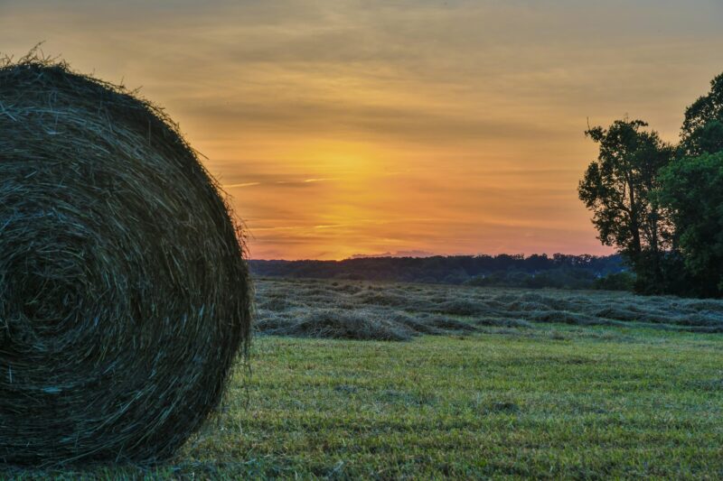 Serene sunset over a Maryland farm field with hay bales and trees.