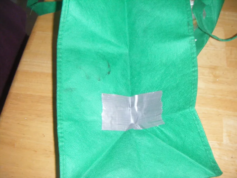 Duct Tape Repairs a Green Bag