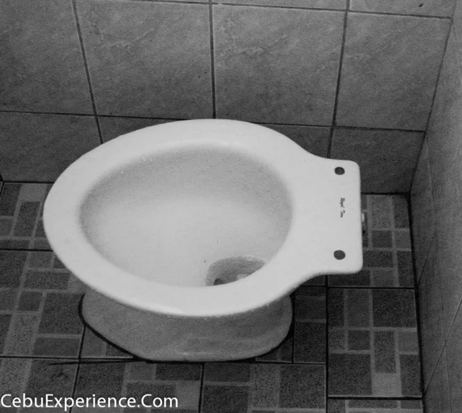 Tankless Toilet