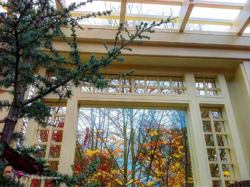 Storm Window