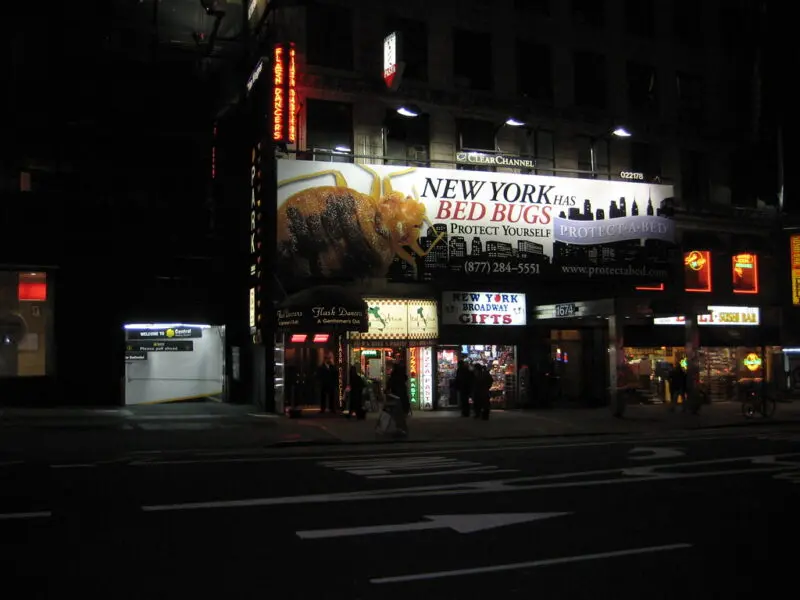 Bed Bug Billboard 2786