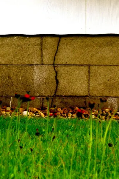 Foundation Crack image