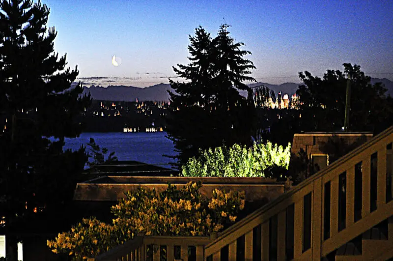 View From the Back Porch: 3:45 AM 06.13.15