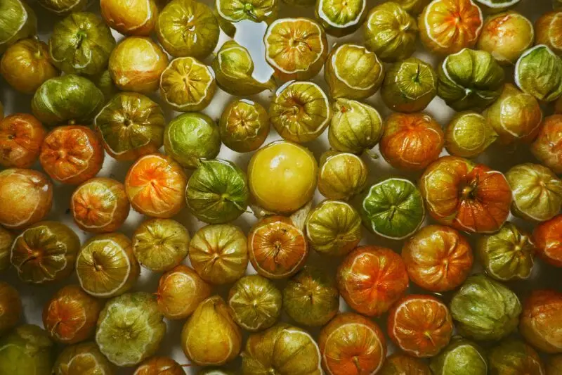 A vibrant flat lay of assorted tomatillos highlighting their fresh, green, and ripe hues.