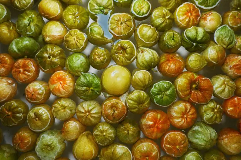 A vibrant assortment of tomatillos submerged in water, showcasing natural colors and textures.