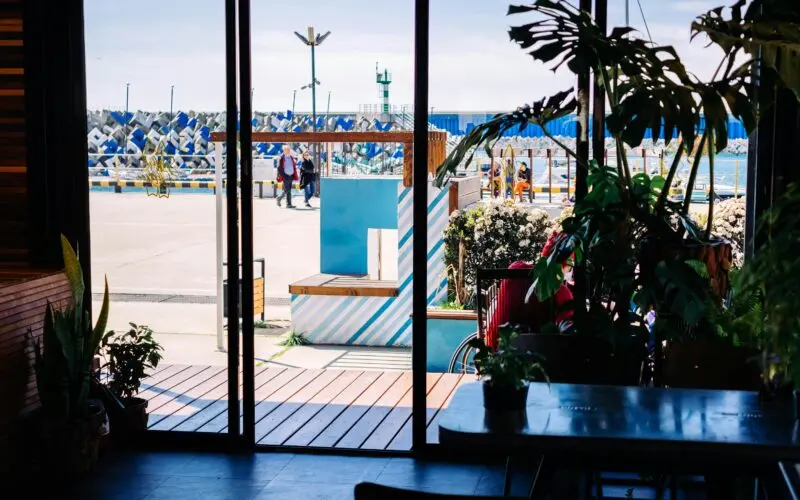 Scenic view from a cafe in Sochi, Russia overlooking the marina, framed by plants and modern glass decor.