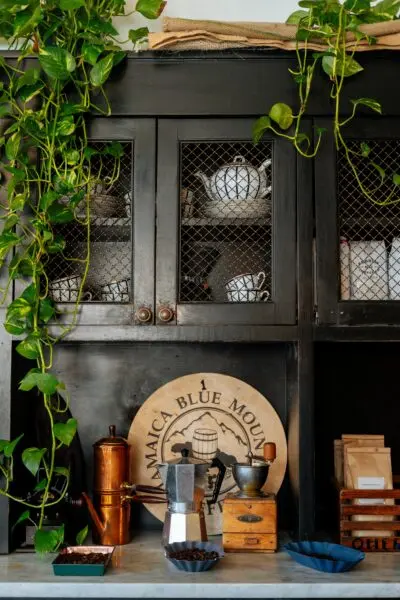 Charming vintage kitchen interior featuring a coffee setup with hanging plants.