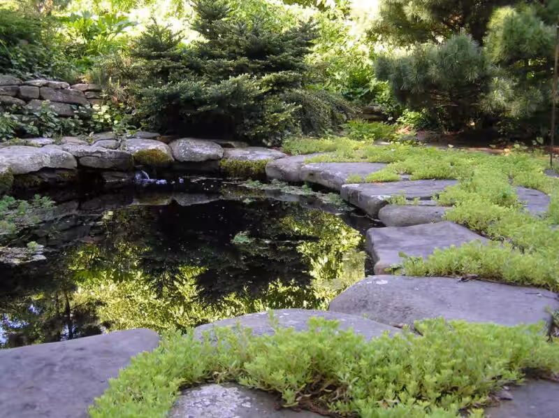 Pond Hardscape