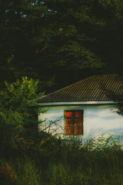 A secluded cottage surrounded by dense foliage offers a tranquil retreat amid nature.