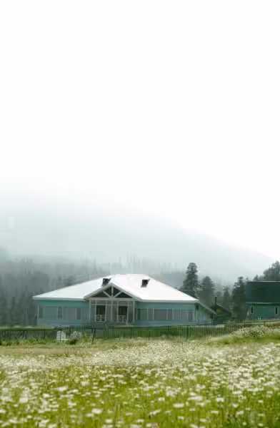Serene mountain house surrounded by wildflowers in a misty landscape, perfect for peaceful retreats.