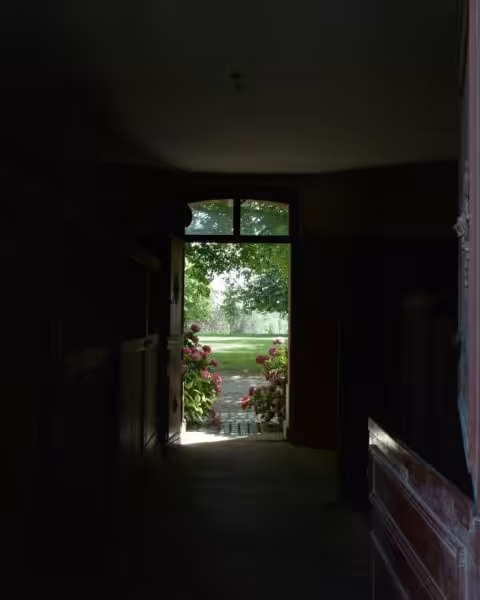Green plants on brown wooden window