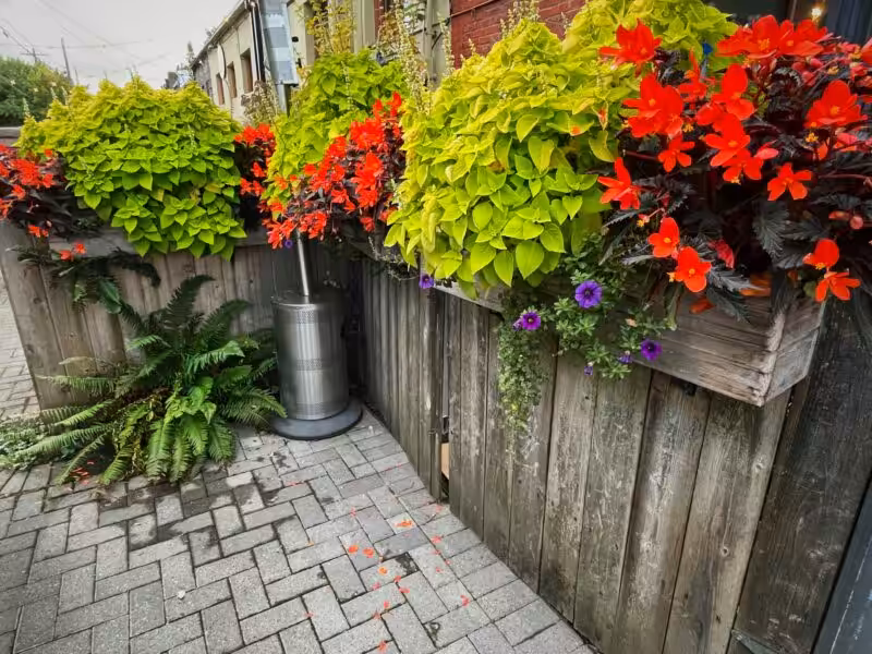 Fence with plants and flowers on an extended patio