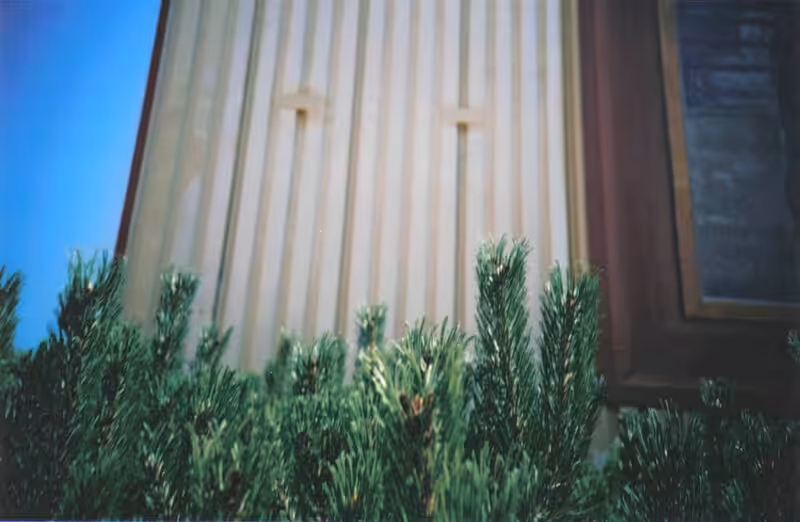 Pine/siding