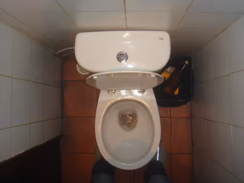 toilet