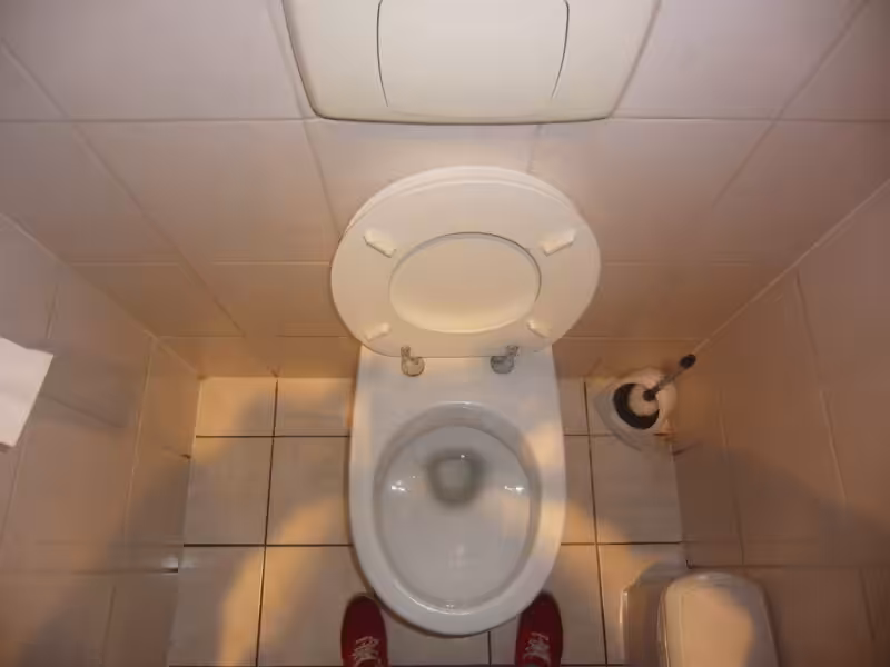 toilet