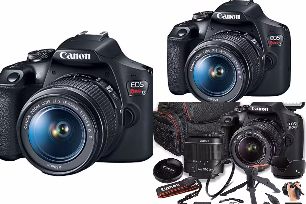 Best Top Dslr Cameras for Beginner Photographers in 2026: Top Picks and Buying Guide