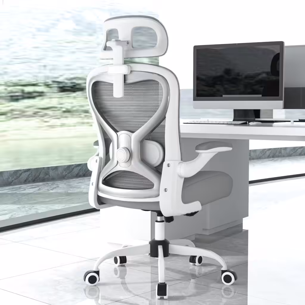 Ergonomic Office Chair for Back &amp; Neck Pain Relief, Virgin Foam Seat, 2D Adjustable Lumbar &amp; 3D Headrest, Tilt &amp; Rock for Relaxation, Ideal for Long Sitting Comfort, Gray/Silver
