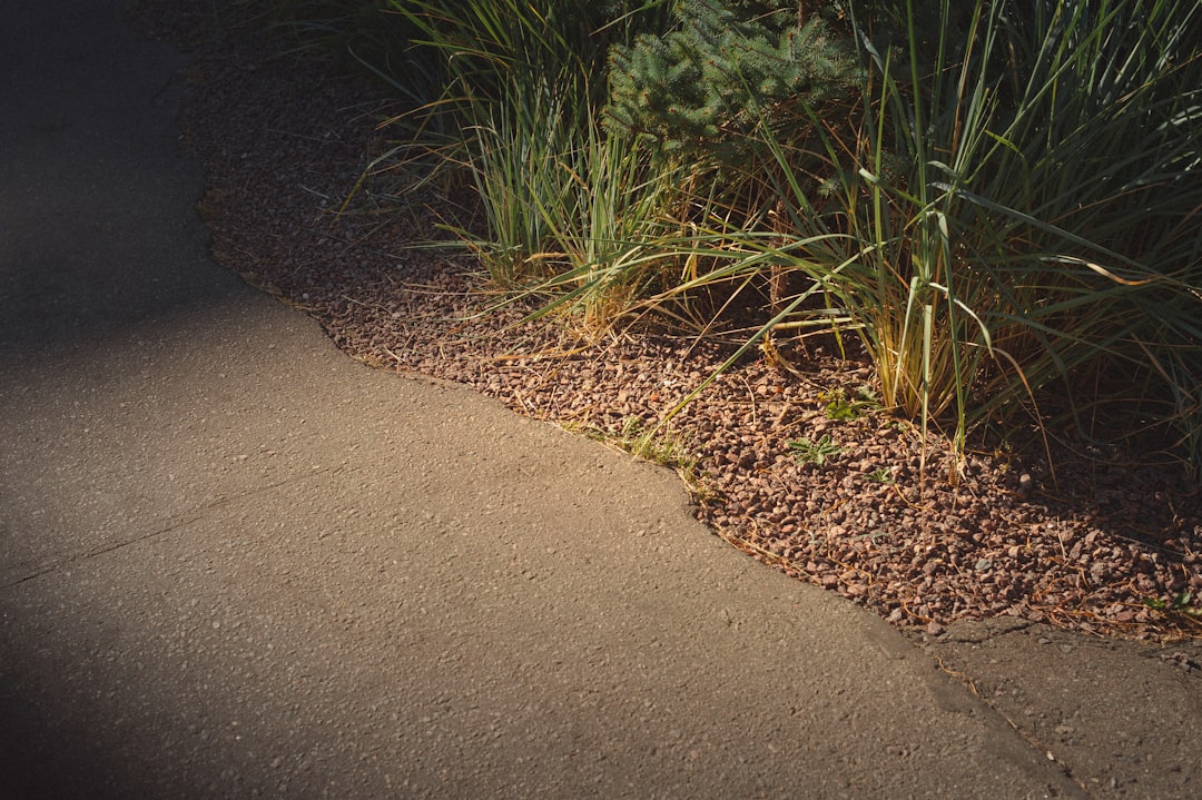 A sidewalk with grass and dirt next to it