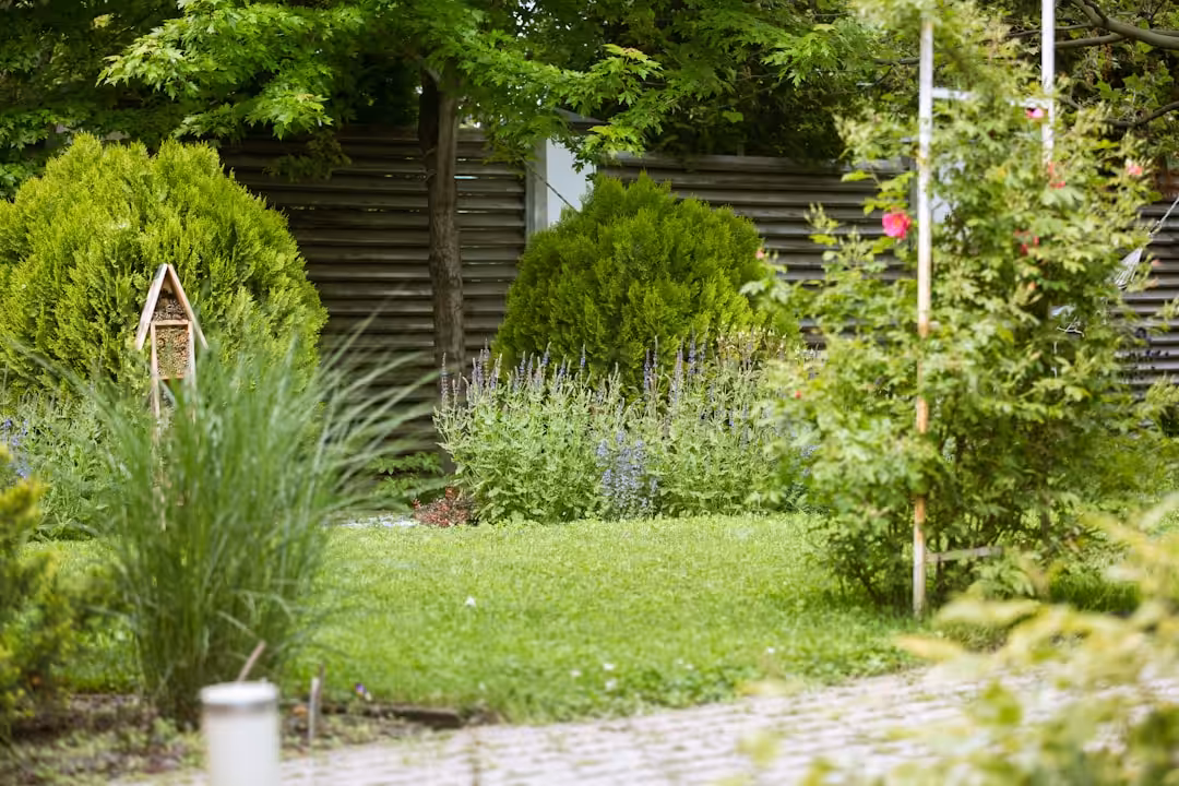 Green garden with diverse plants, a birdhouse, and stone path.