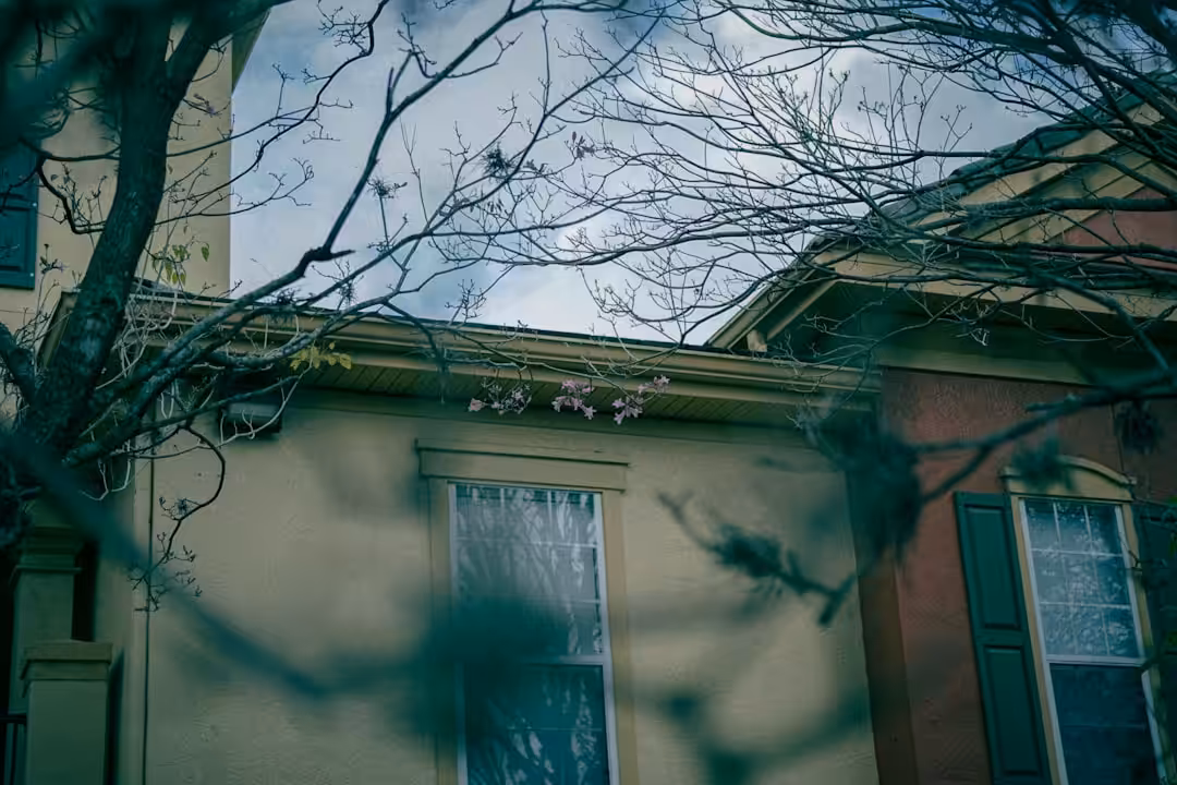 Bare tree branches in front of houses under cloudy sky