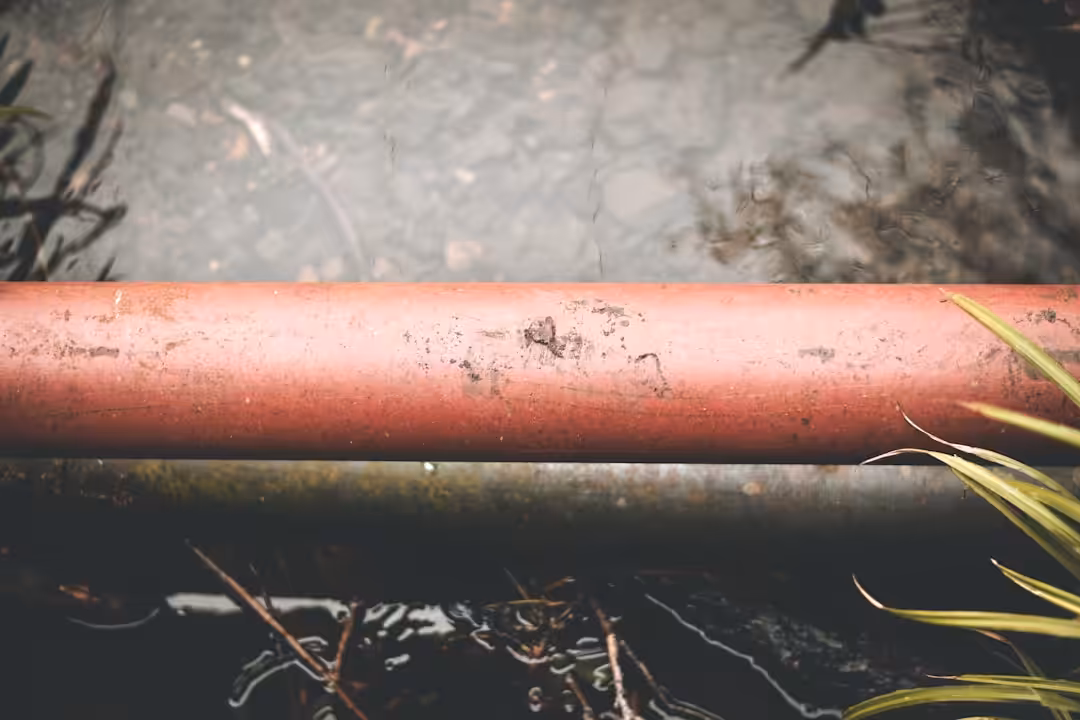 a red pipe laying on the ground next to some plants