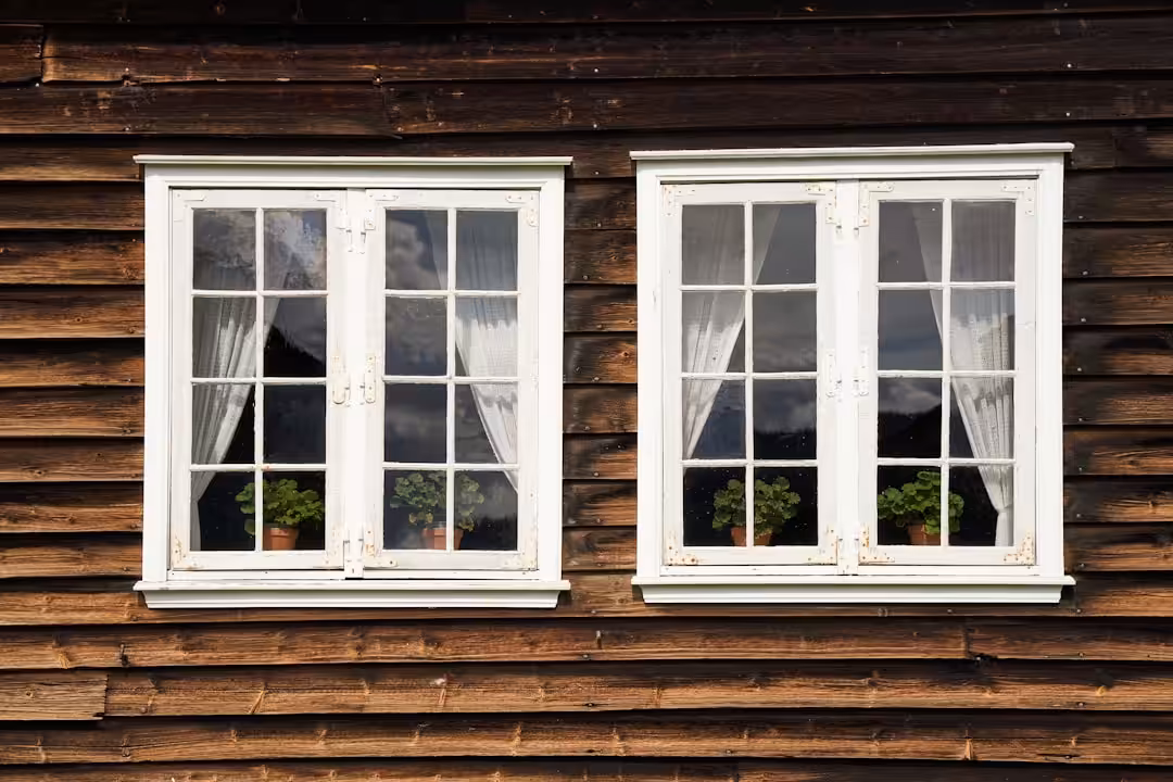 a couple of windows with plants in them