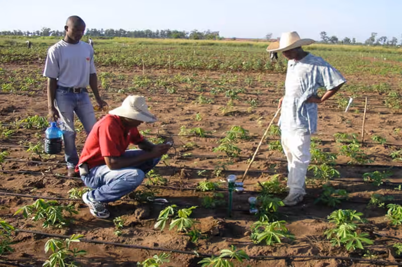 Evaluating moisture content with soil moisture meters