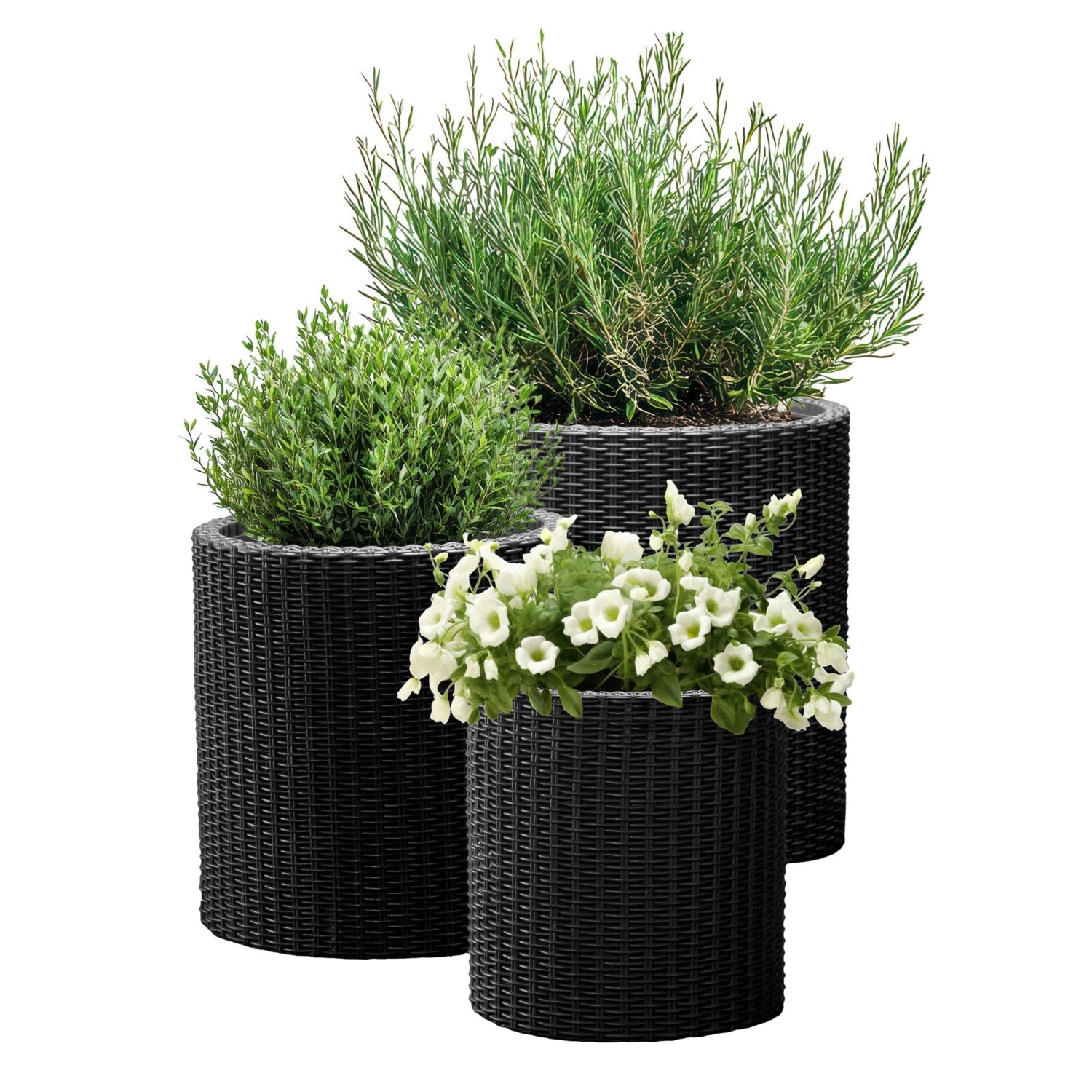 Keter Cylinder Set of 3 Rattan Resin Planter