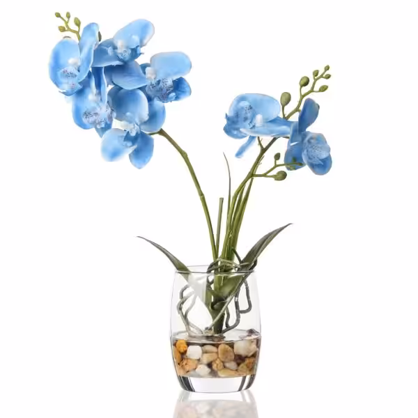 Jusdreen Artificial Blue Orchid in Glass Vase, Realistic Phalaenopsis
