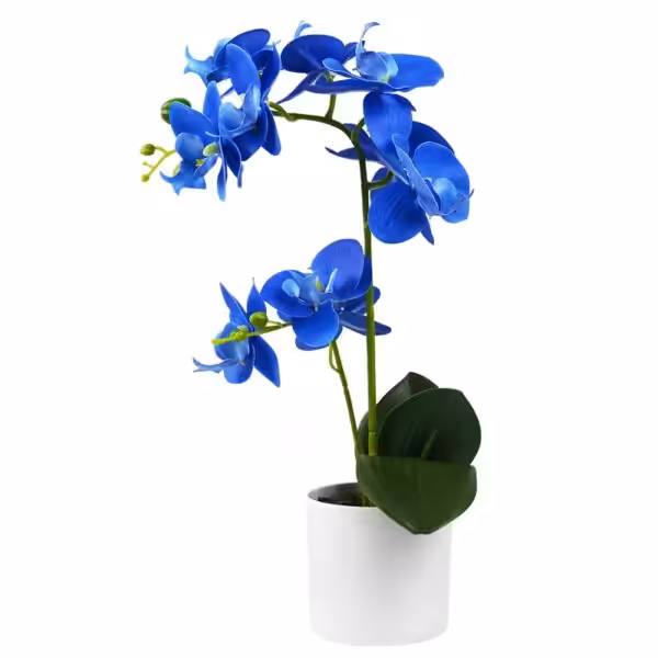 Olrla Blue Orchid Artificial Flowers in White Pot