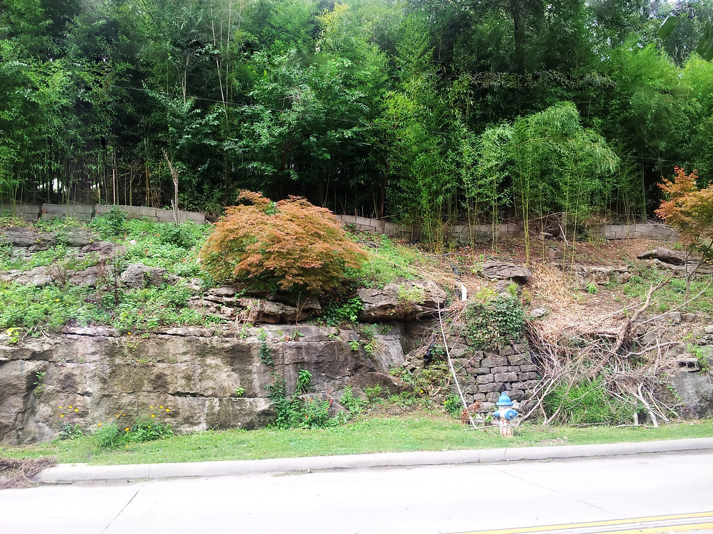 A hillside privacy fence (bamboo)